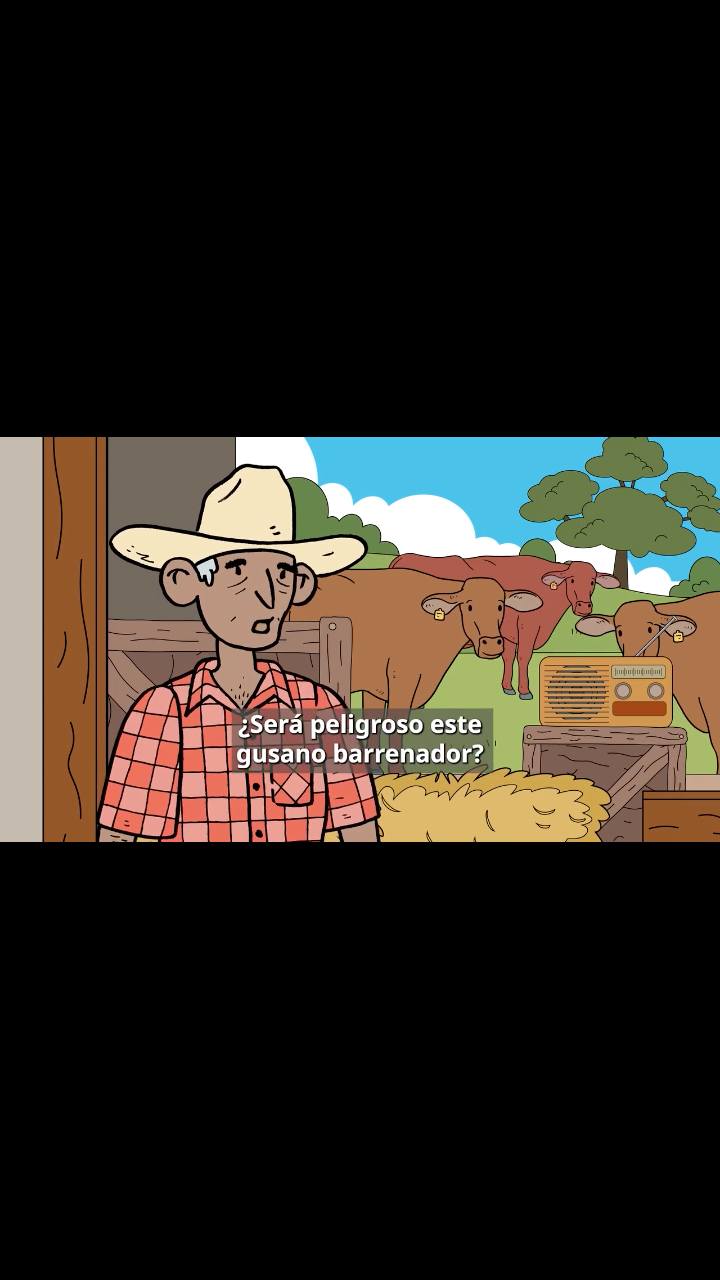 El gusano barrenador no es “una película de terror” ya está aquí y el descuido en tus animal...